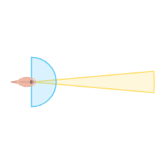 Far Vision Angle: Narrow field of view