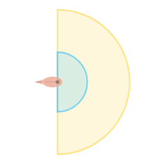 Far Vision Angle: Wide field of view
