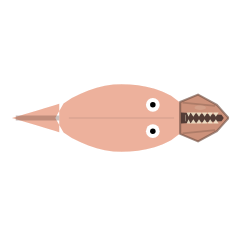 Jaw Position and Length: Projected