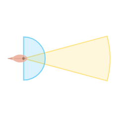 Near Vision Angle: Mid field of view