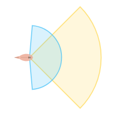Near Vision Distance: Far field of view