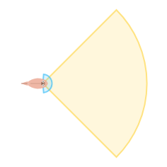 Near Vision Distance: Short field of view