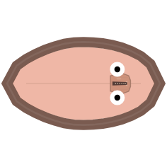 Shell Strength: Strong