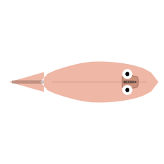 Streamlining: Mid